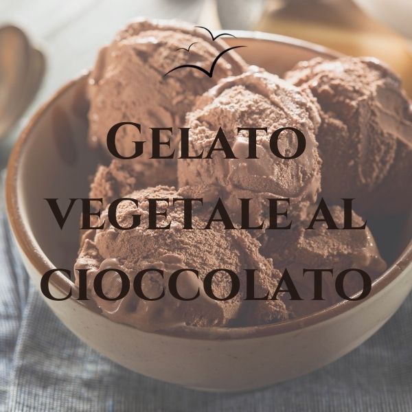 gelato-vegetale-al-cioccolato-associazione-scientifica-fibromialgia