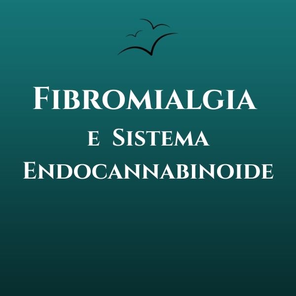 Fibromialgia-e-Sistema-Endocannabinoide