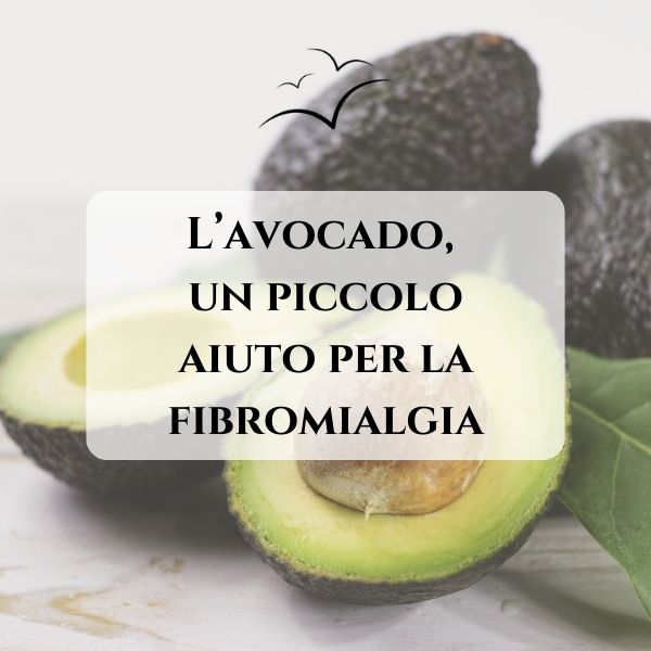 avocado-fibromialgia